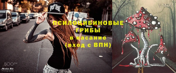 эйфоретик Баксан