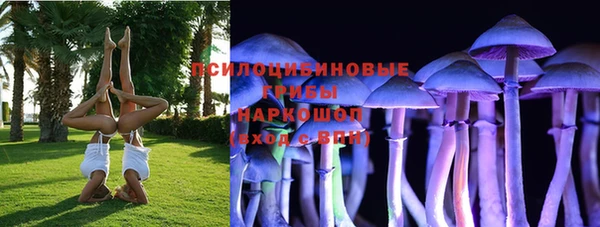 амф Балахна