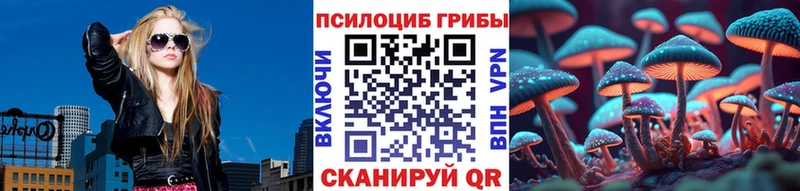 Галлюциногенные грибы Psilocybine cubensis  купить закладку  Спасск-Рязанский 