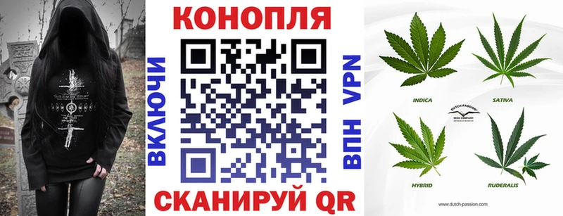 Шишки марихуана план  ссылка на мегу   Спасск-Рязанский 
